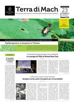 Immagine: Terra di Mach n.23 / Novembre 2025