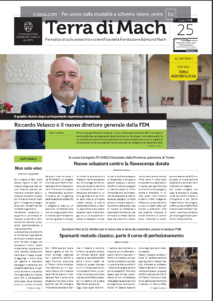 Immagine: Terra di Mach n.25 / Luglio 2026