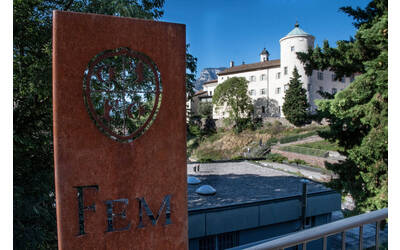 Image: 1c Fondazione Edmund Mach 9125 ARCHIVIO FEM - M.Festi Bassa