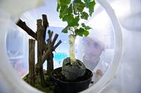 Image: 1E_JXj5A - foto FEM - Brega