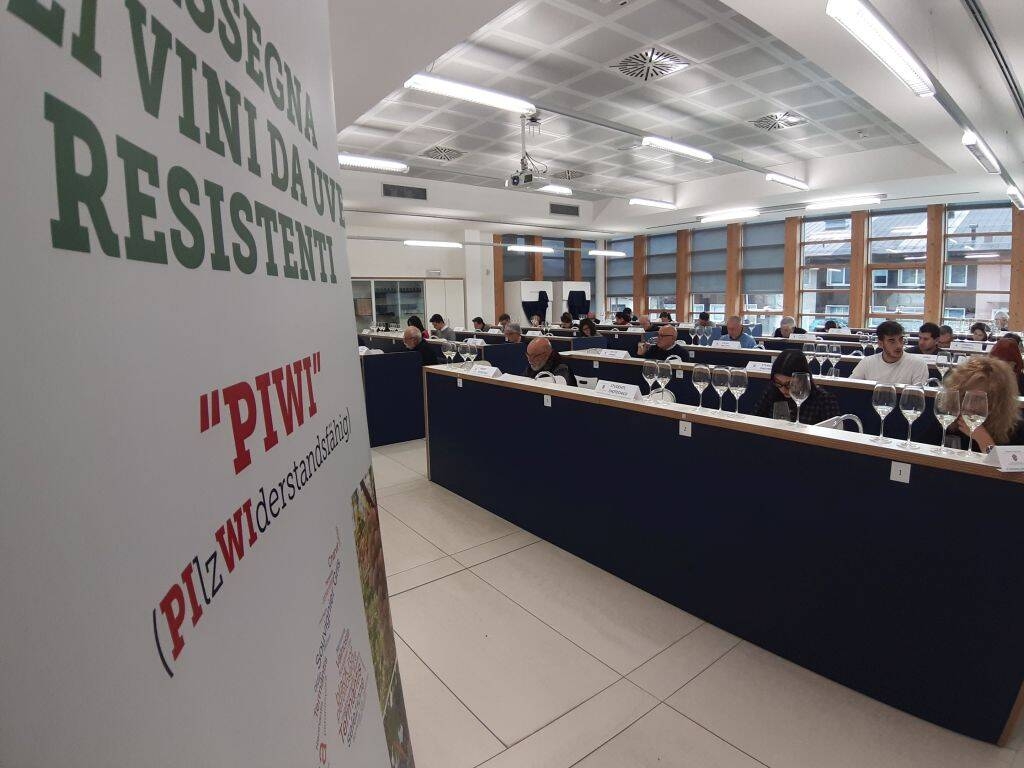 Immagine: 2 rassegna dei vini piwi - valutazione delle commissione di 30 esperti (1)