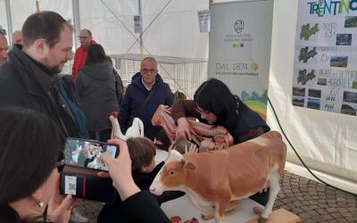 Image: 20230318_115846