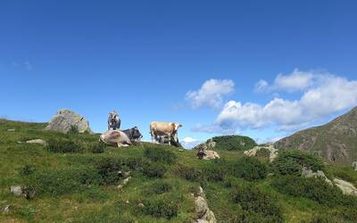 Image: 20230806_121141