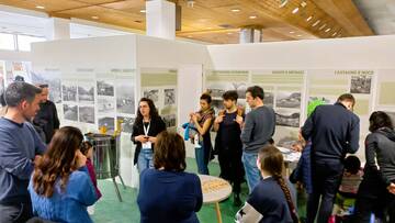 Immagine: 20240316_113341