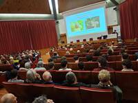 Immagine: 20260212_093812 (1)