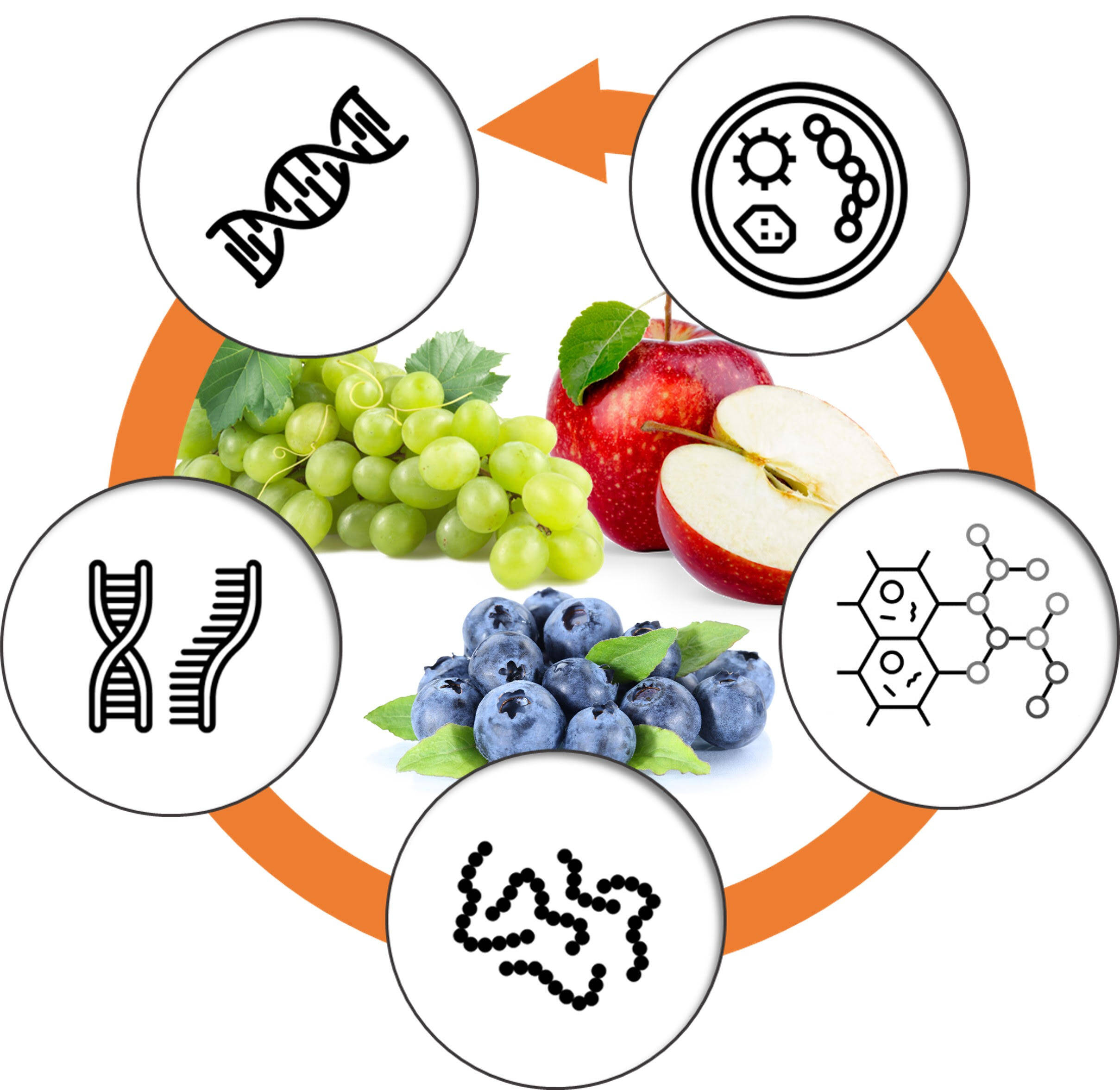 Image: 339_Immagine BIS