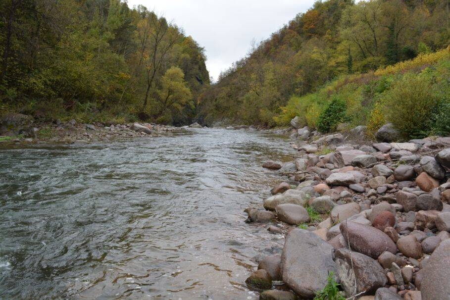 Image: 359_Immagine FINALE