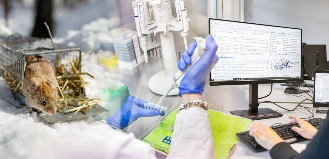 Image: 360_immagine new