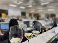 Image: 4 rassegna piwi - al via i lavori della commissione 4