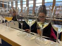 Image: 4 rassegna piwi - al via i lavori della commissione (5)