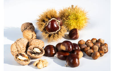 Image: Abb. 5 (c) Laimburg Research Centre_ivo corrà