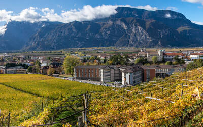 Image: agosto 2010 081