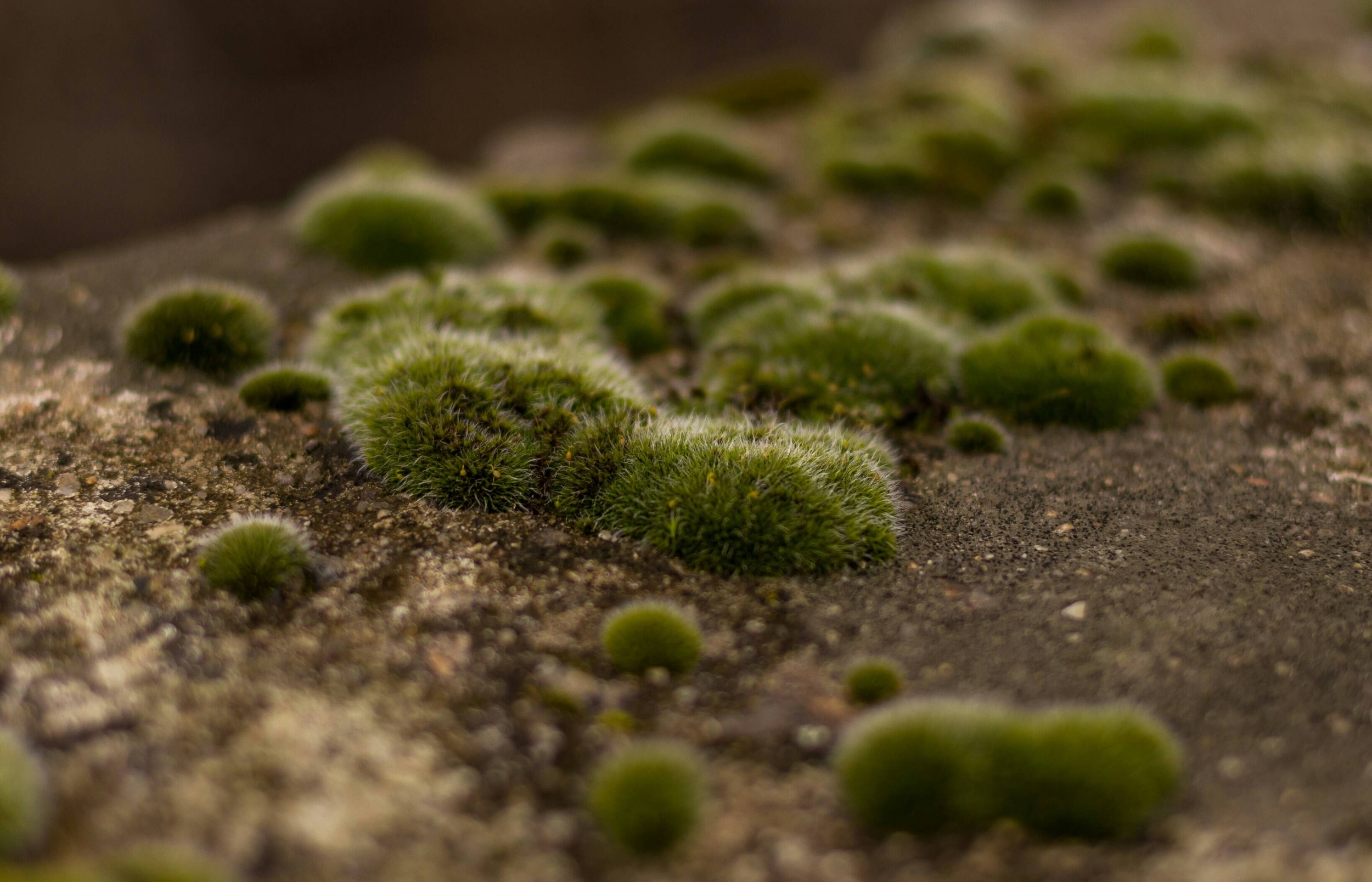 Image: anton-atanasov-O3E7W5O1YdM-unsplash