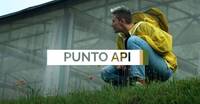 Image: api