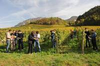 Immagine: ARCHIVIO FEM - G.Zotta (26)