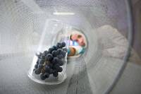 Image: ARCHIVIO FEM- M_Brega _laboratorio (1)