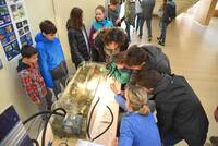 Immagine: Archivio FEM_ Foto Natali_stand Ricerca 2