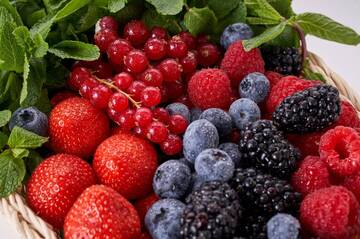 11a Giornata tecnica piccoli frutti
