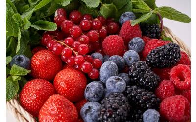 Image: berries-4692364_1920