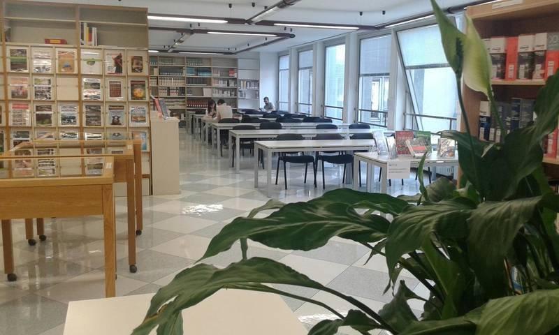 Immagine: biblioteca