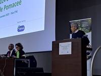 Immagine: Bilancio fitosanitario Pomacee _21 nov 25_4