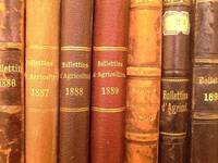 Immagine: bollettino