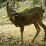 Image: c8f4fc75-4ffc-4a43-b3df-4840fc622ef8