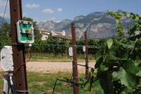 Immagine: campus fem-vigneto smart