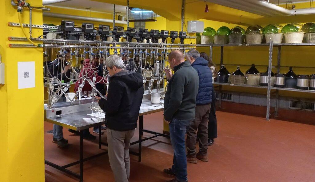 Immagine: cantina microvinificazione