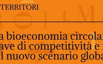 Image: card-festival-e_1745834602_reference