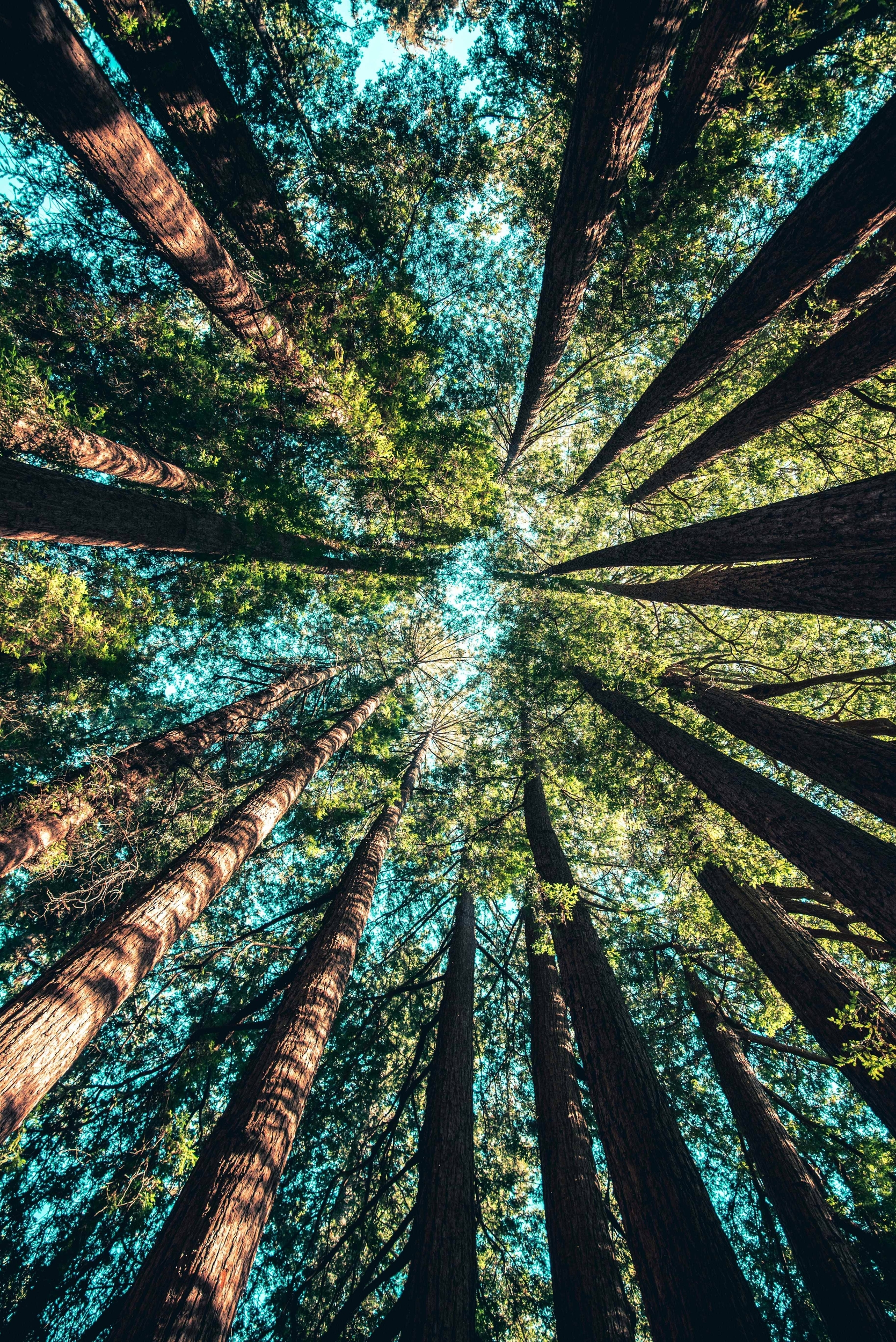 Immagine: casey-horner-4rDCa5hBlCs-unsplash