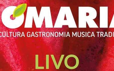 Image: Cattura stretta (1)