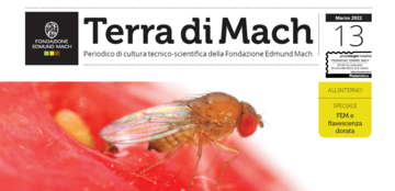 Immagine: Cattura