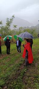 Image: cavrasto incontro noce (4)