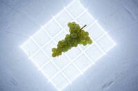 Immagine: cibo che fa bene