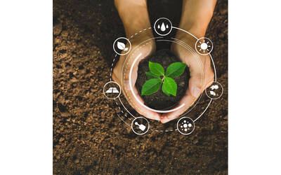 Image: CJM_innovazione_vegetale