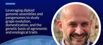 Prof. Dario Cantù's seminar