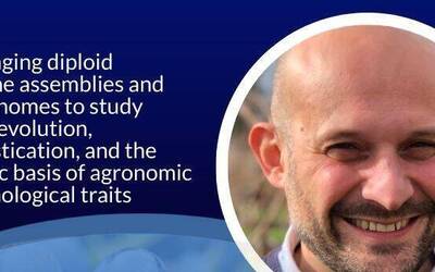 Image: Clipboard01_reference