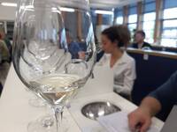 Image: concorso vini 8