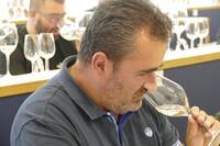 Immagine: concorso vini territorio 15 maggio 2025 (8) lr