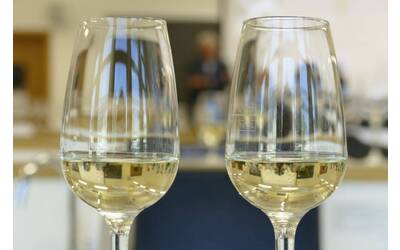 Image: concorso vini territorio 15 maggio 2025 (9)vlr