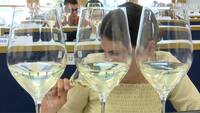 Immagine: concorso vini territorio 2026 (11)