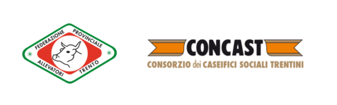 Image: Copia di Senza titolo