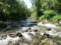 Immagine: corsi d'acqua