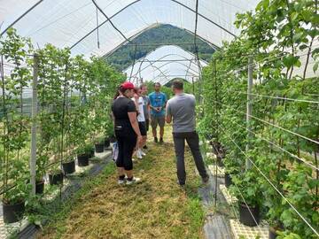 Immagine: corso imprenditori agricoli lr 4