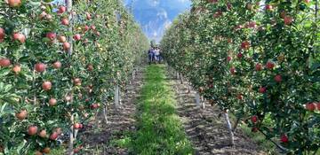 Apertura del corso per imprenditori agricoli e consegna brevetti