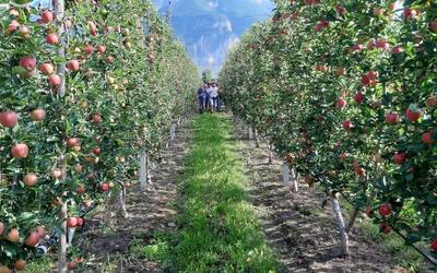 Image: corso per imprenditori agricoli