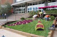 Image: corso tecnico verde