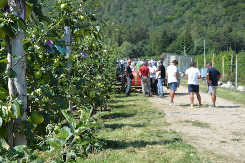 Porte aperte al frutteto sperimentale di Denno