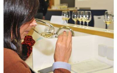 Image: DSC_6403-piwi-2_popup